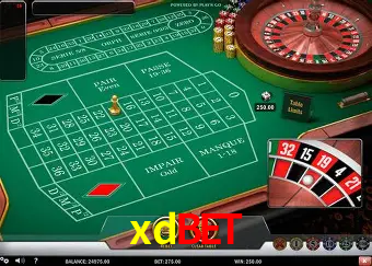 A Experiência Imersiva dos Cassinos Ao Vivo no xdbet